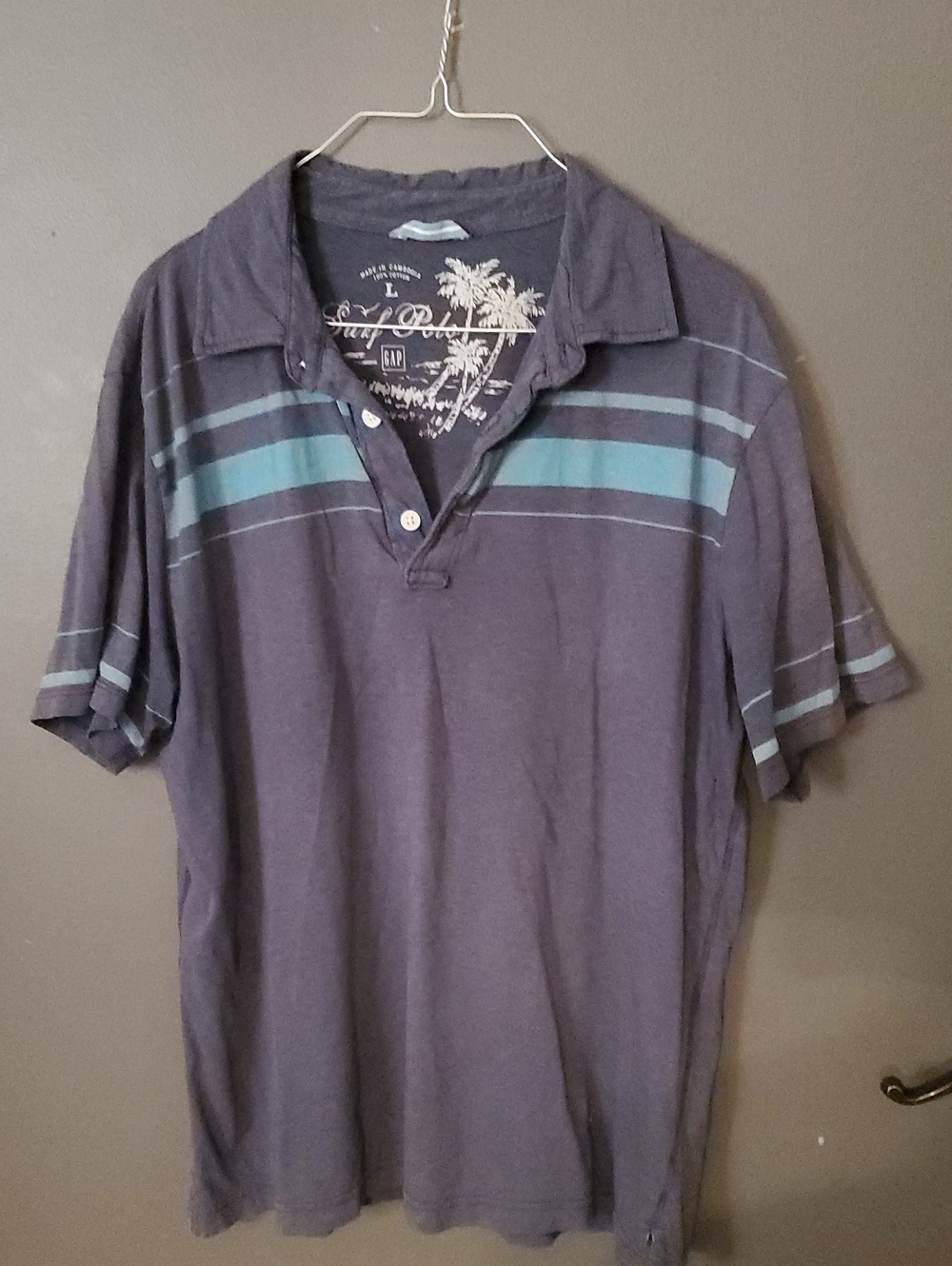 GAP Men’s Navy Polo with Teal Stripe